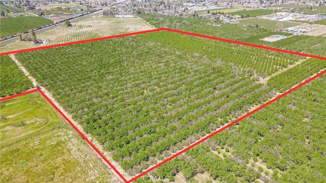 $2,250,000 | 19688 Santa Fe Road, Escalon, CA 95320