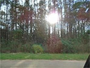 0 Floyd Road Southwest Austell, GA 30106 - Photo 1 of 1 a view of a yard with a tree