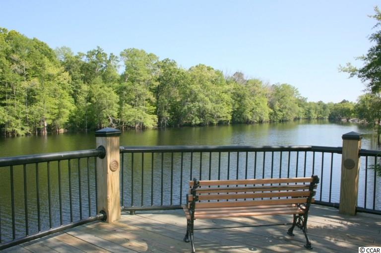 249 Copperwood Loop Conway, SC 29526 - Photo 24 of 29 Gallery Image 24