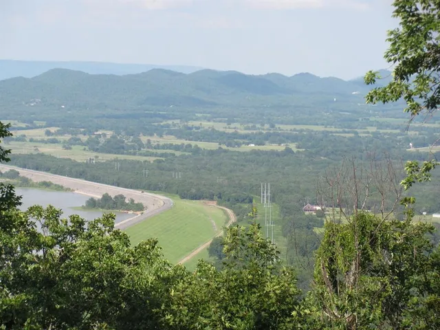 a view of backyard with green space
