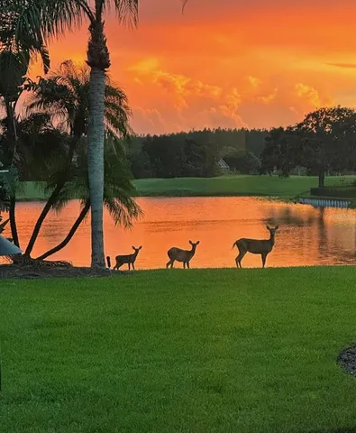 $1,199,999 | 19107 Ave Bayonnes, Lutz, FL 33558