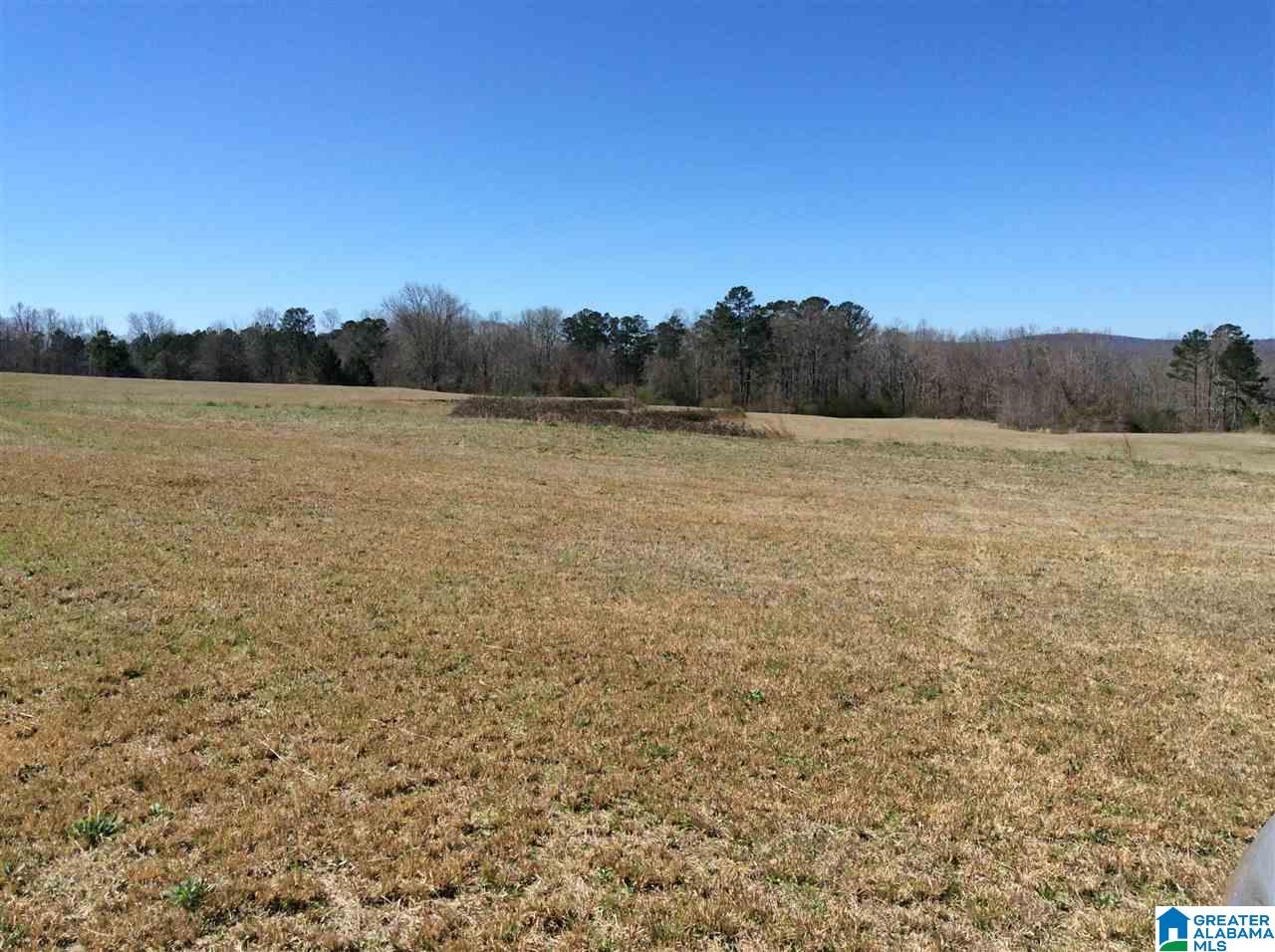 0 Coats Bend Road, Unit 1 Gadsden, AL 35901 - Photo 6 of 20