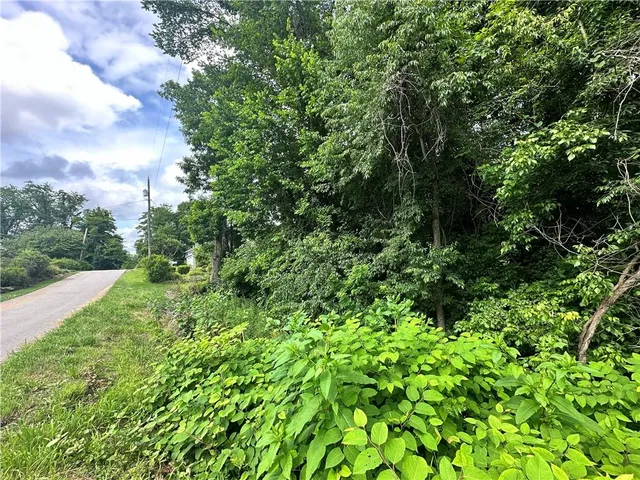 a view of a garden with plants and trees