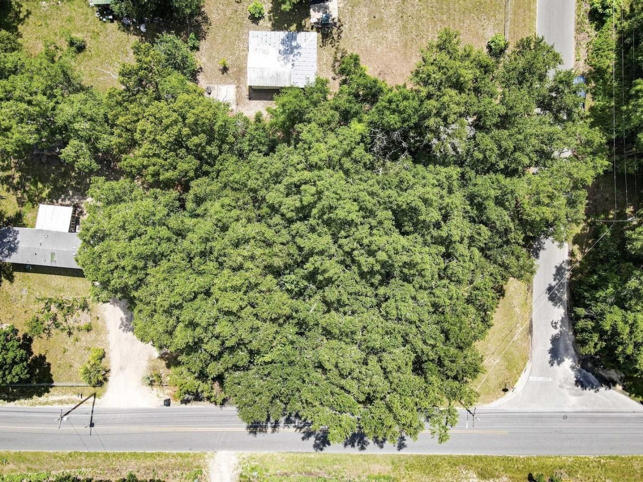 1212 South Center Street Perry, FL 32348 - Photo 4 of 4