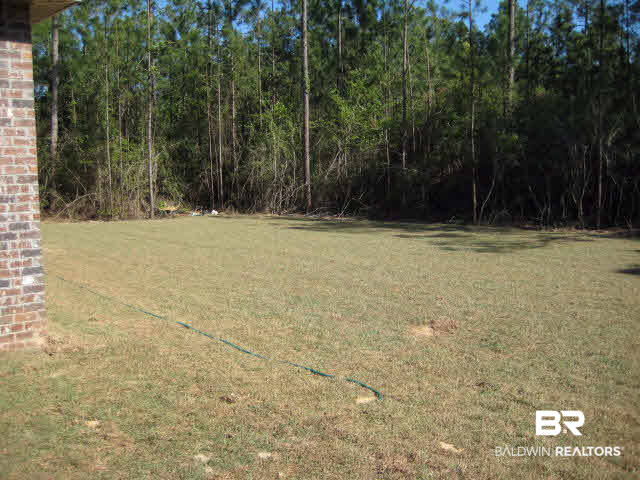 11560 Whitaker Avenue Daphne, AL 36527 - Photo 14 of 19 Large yard