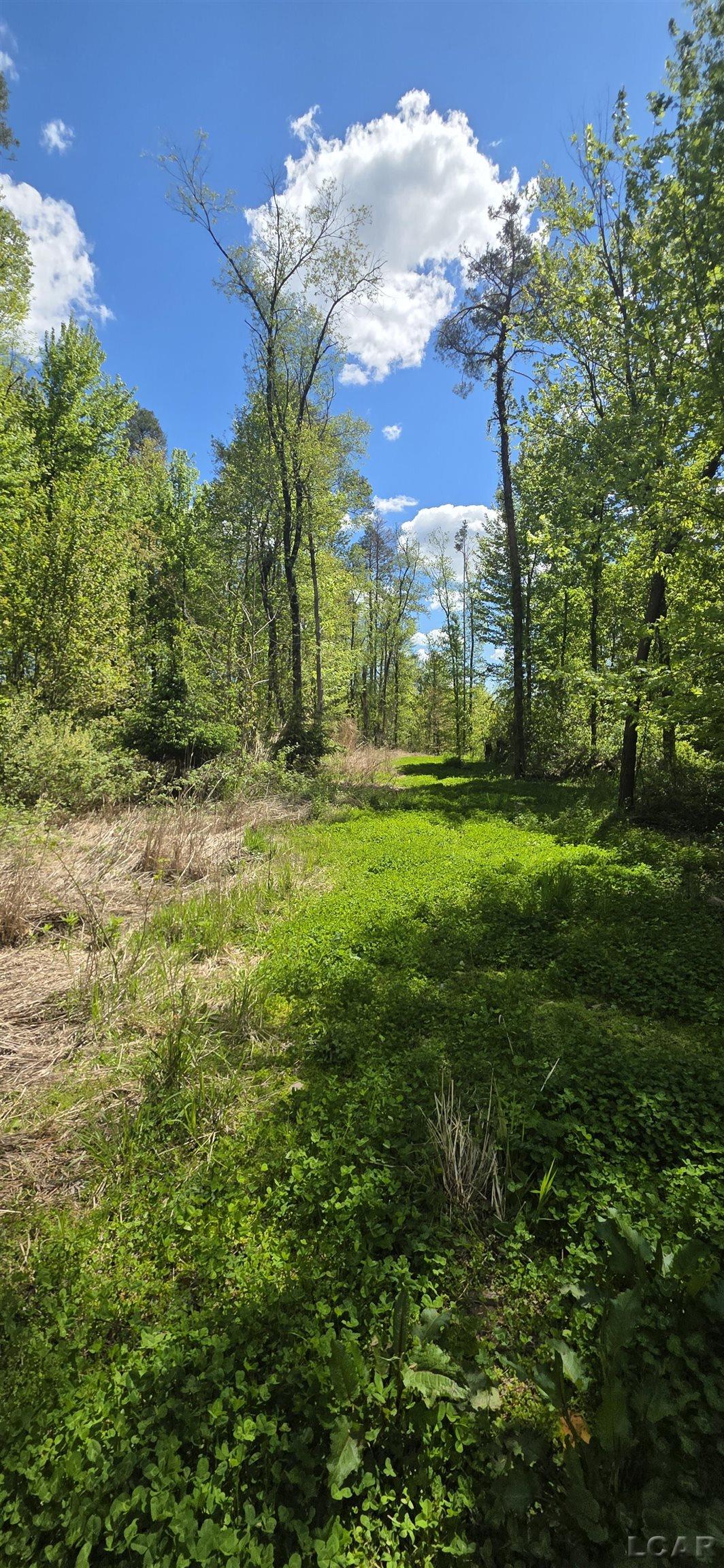 15252 27 Mile Road Albion, MI 49224 - Photo 15 of 57