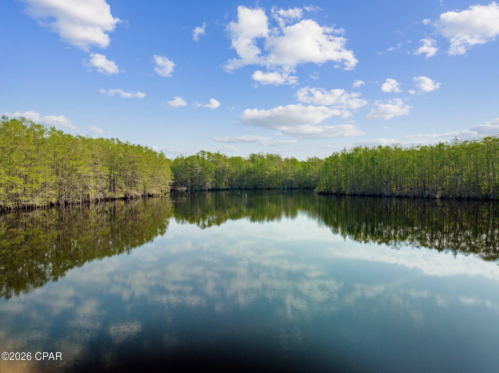 4651 Moss Hill Road Chipley, FL 32428 - Photo 16 of 36
