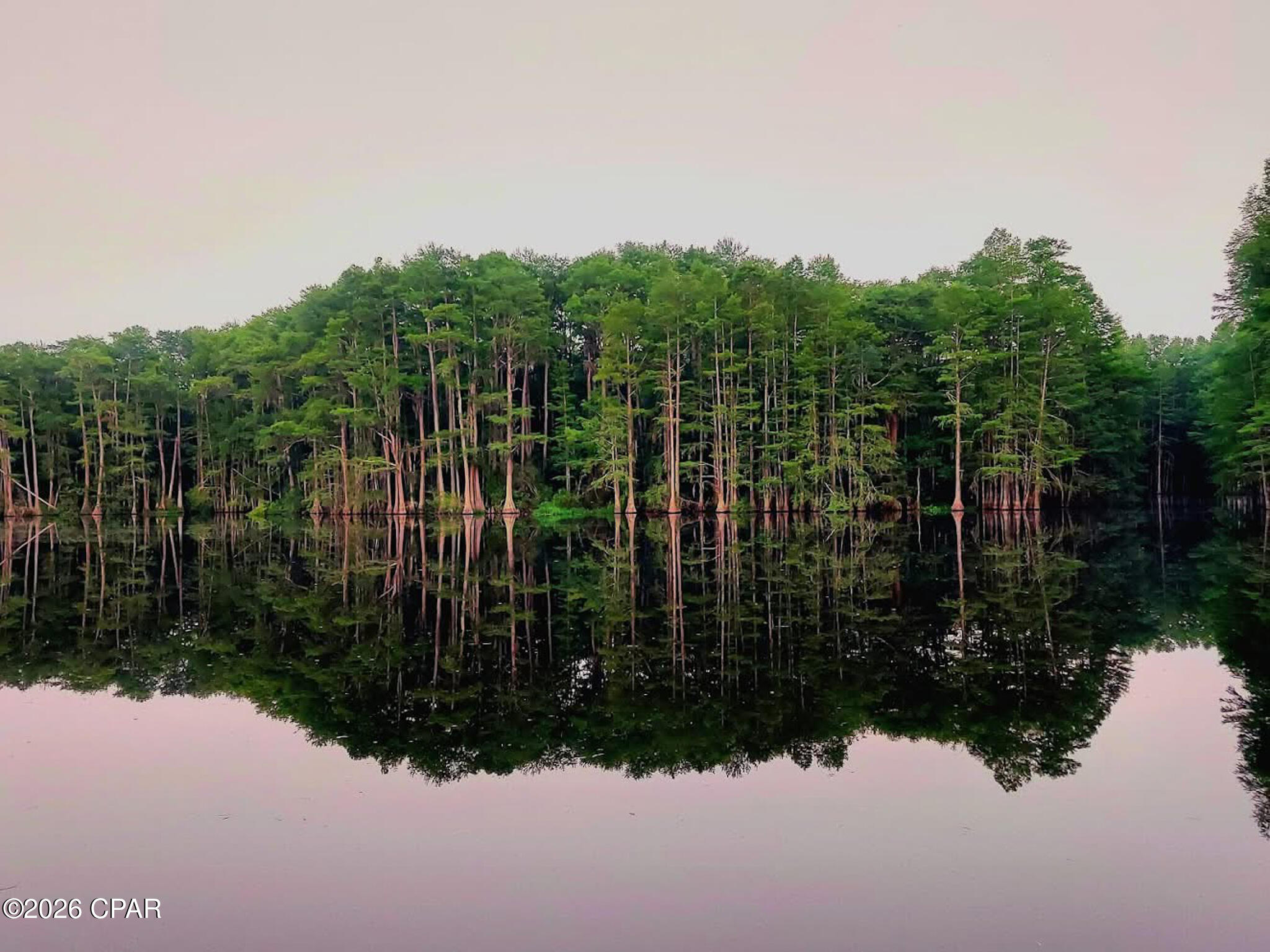 4651 Moss Hill Road Chipley, FL 32428 - Photo 20 of 36