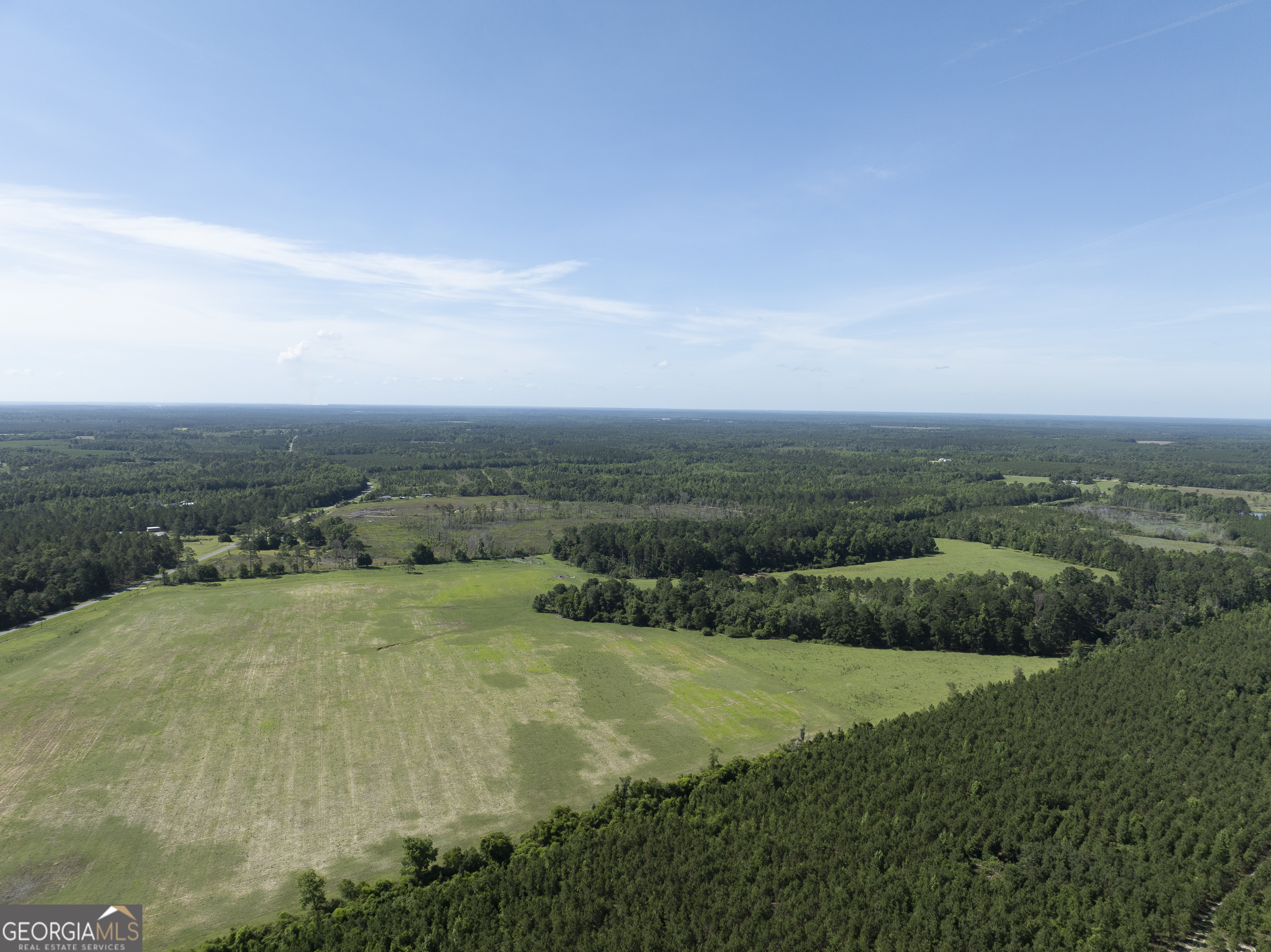 3349 A Scotland Road Alamo, GA 30411 - Photo 4 of 29