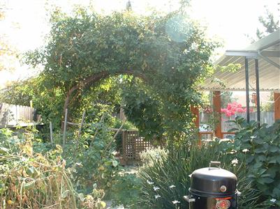 2437 Center Road Novato, CA 94947 - Photo 3 of 7 a backyard of a house with table and chairs and potted plants