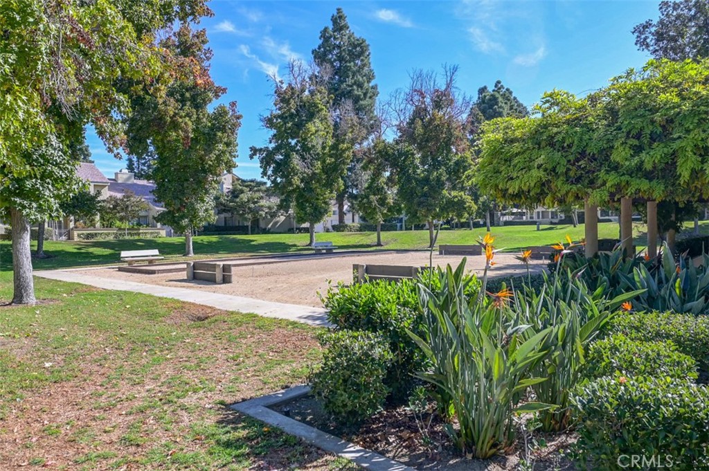 a view of a park with large trees