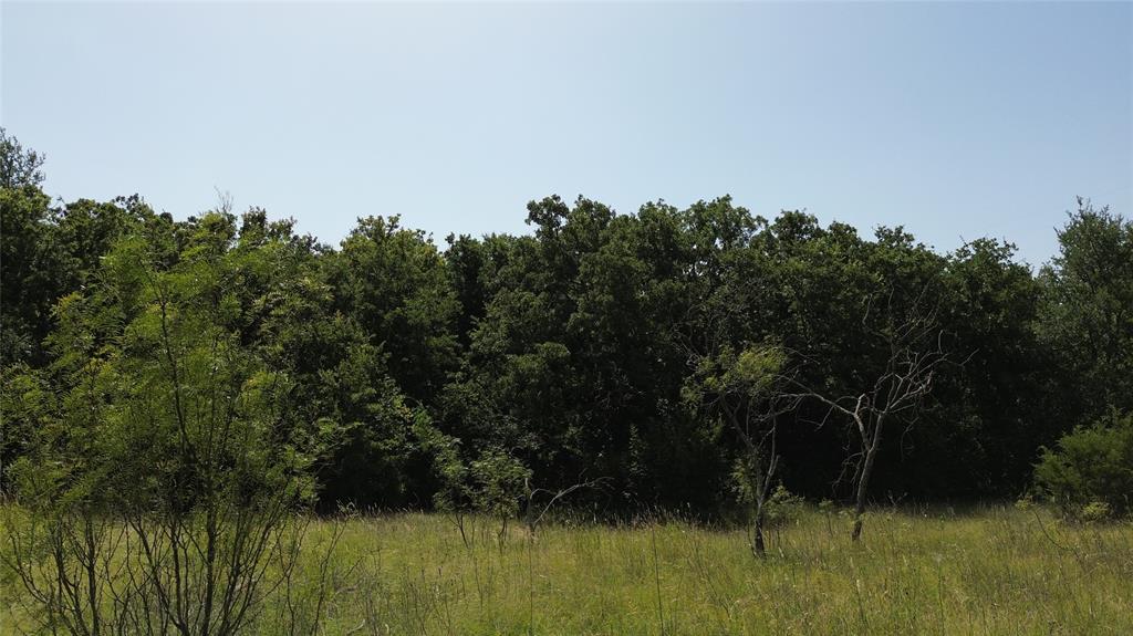 Tbd Nash Road Jacksboro, TX 76458 - Photo 21 of 28 Expansive natural landscape featuring a broad field of green and yellow grasses bordered by a dense tree line