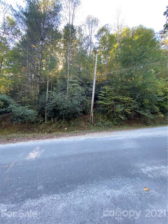 99999 Bryson Road Brevard, NC 28712 - Photo 2 of 6 Gallery Image 2