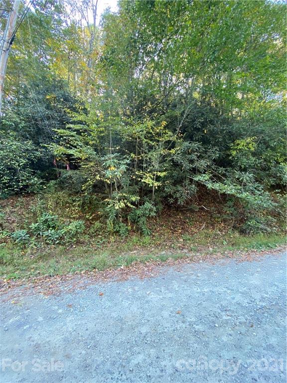 99999 Bryson Road Brevard, NC 28712 - Photo 3 of 6 Gallery Image 3