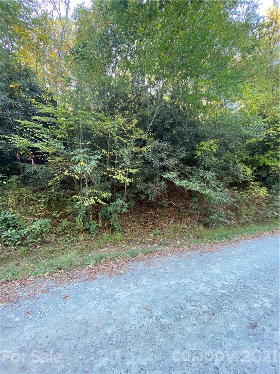 99999 Bryson Road Brevard, NC 28712 - Photo 4 of 6 Gallery Image 4