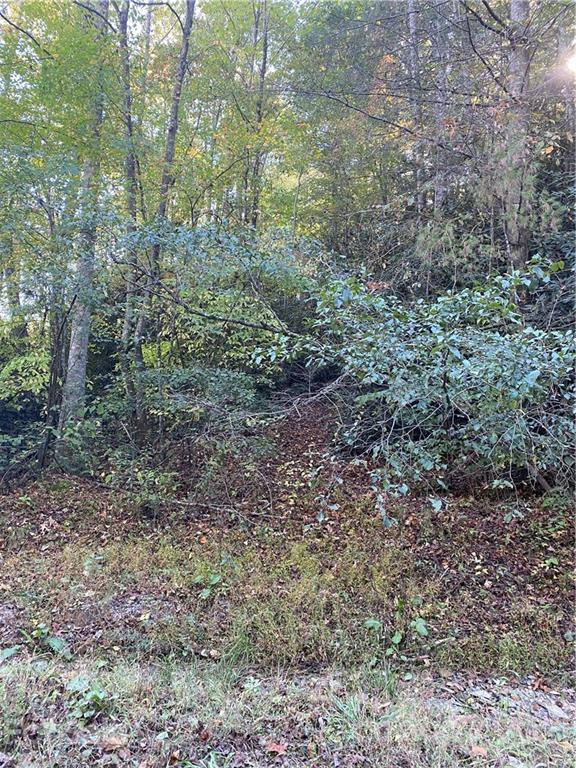 99999 Bryson Road Brevard, NC 28712 - Photo 5 of 6 Gallery Image 5