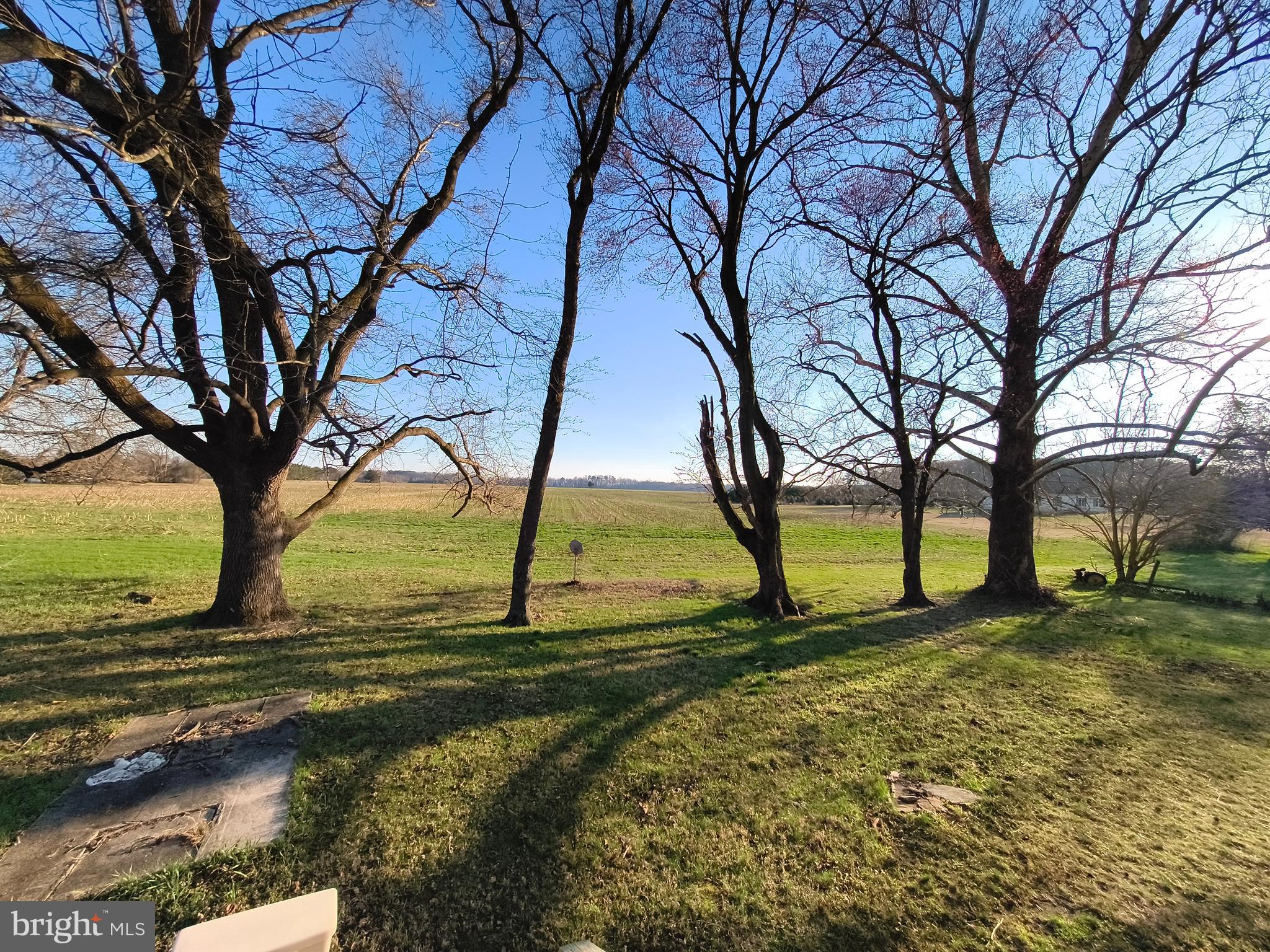 32391 Geib Road Cordova, MD 21625 - Photo 11 of 11