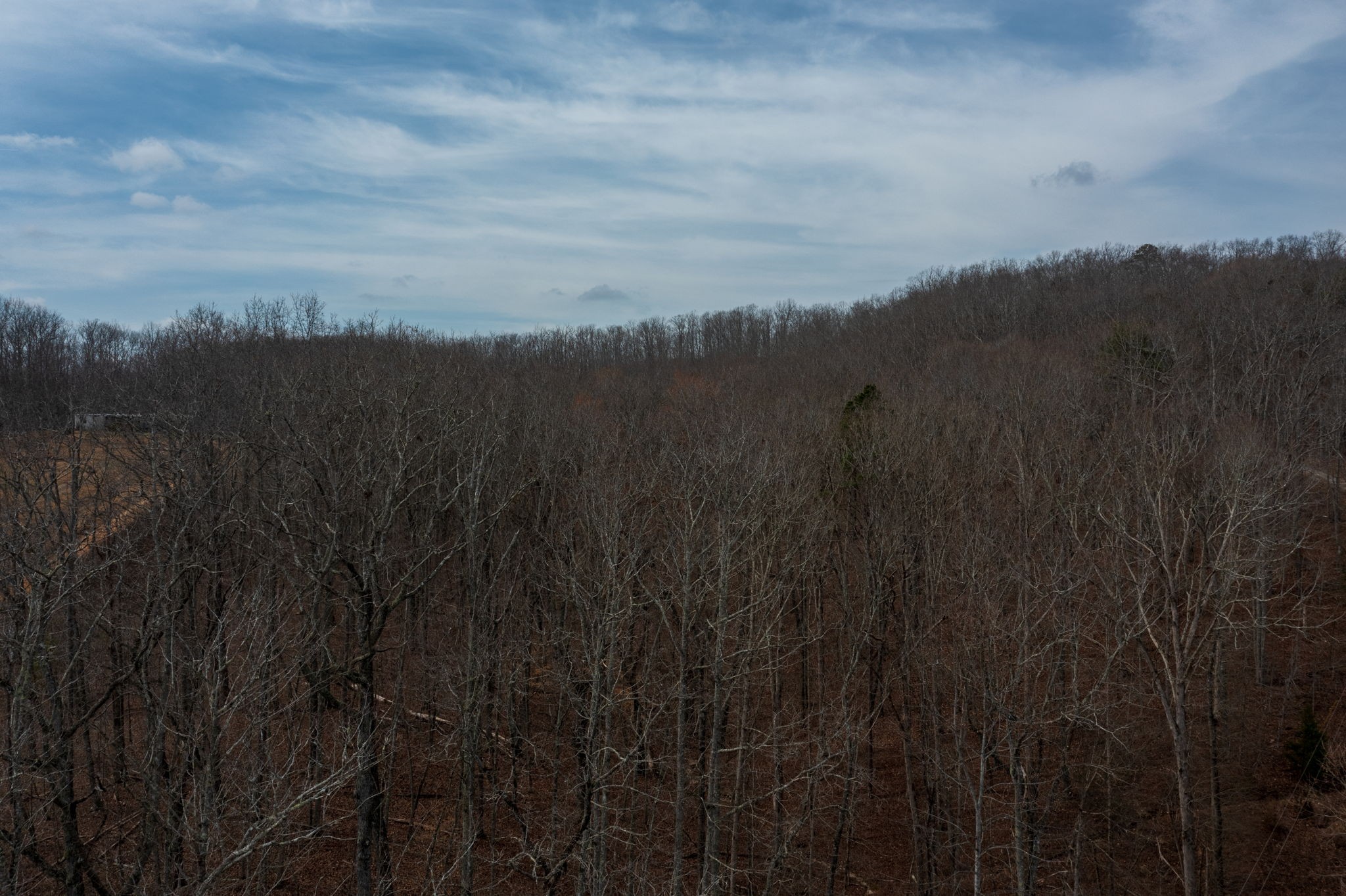 0 Paint Rock Valley Road Kingston, TN 37763 - Photo 5 of 19