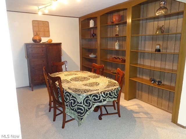 647 Rehwinkle Road Northfield, OH 44067 - Photo 17 of 35 Built-in Shelves Bar
