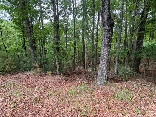 $10,000 | Lot 153 Etowah Drive, Ellijay, GA 30540