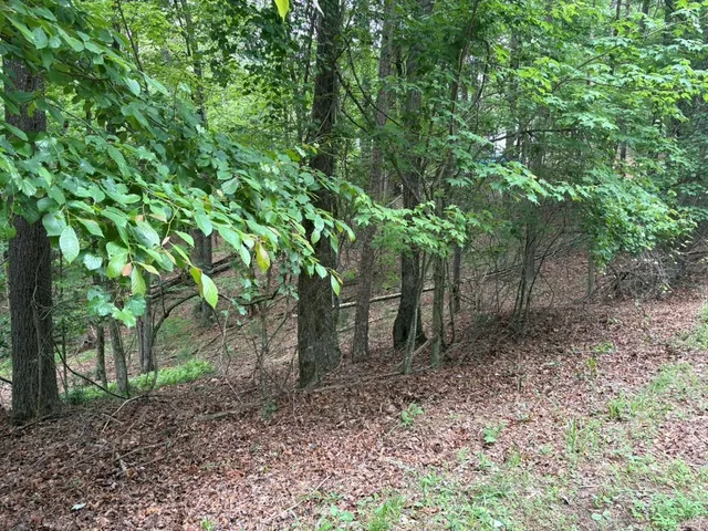 $10,000 | Lot 153 Etowah Drive, Ellijay, GA 30540