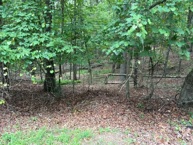 $10,000 | Lot 153 Etowah Drive, Ellijay, GA 30540