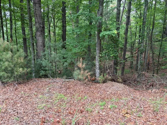 $10,000 | Lot 153 Etowah Drive, Ellijay, GA 30540