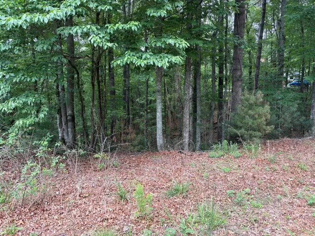 $10,000 | Lot 153 Etowah Drive, Ellijay, GA 30540
