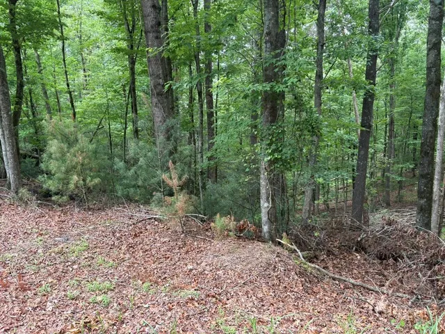 $10,000 | Lot 153 Etowah Drive, Ellijay, GA 30540