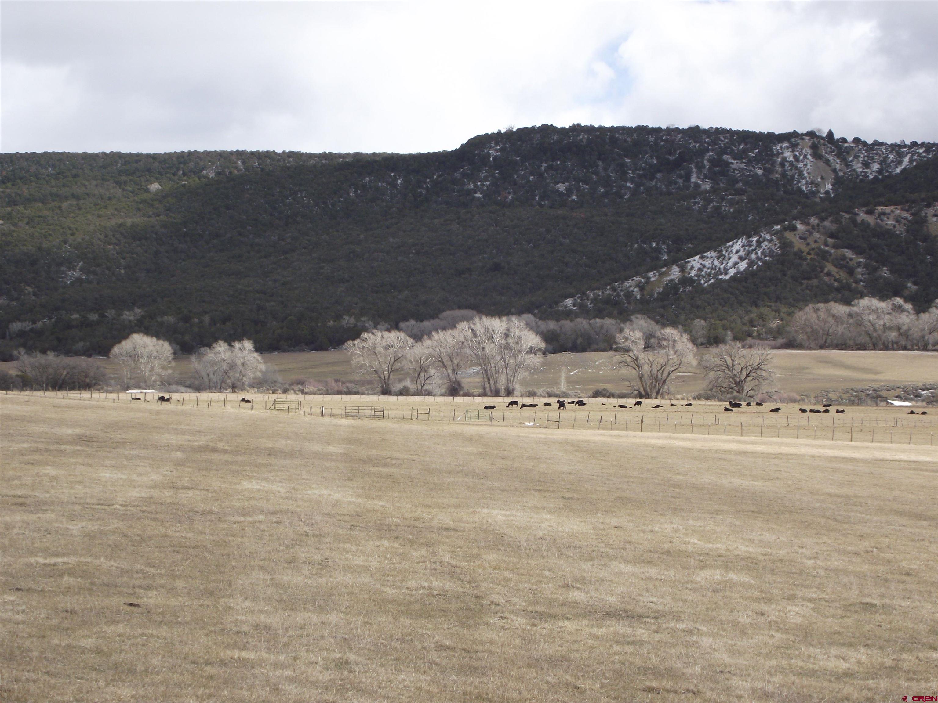 Tbd Rimrock Road Cedaredge, CO 81413 - Photo 1 of 5 a view of ocean and mountain