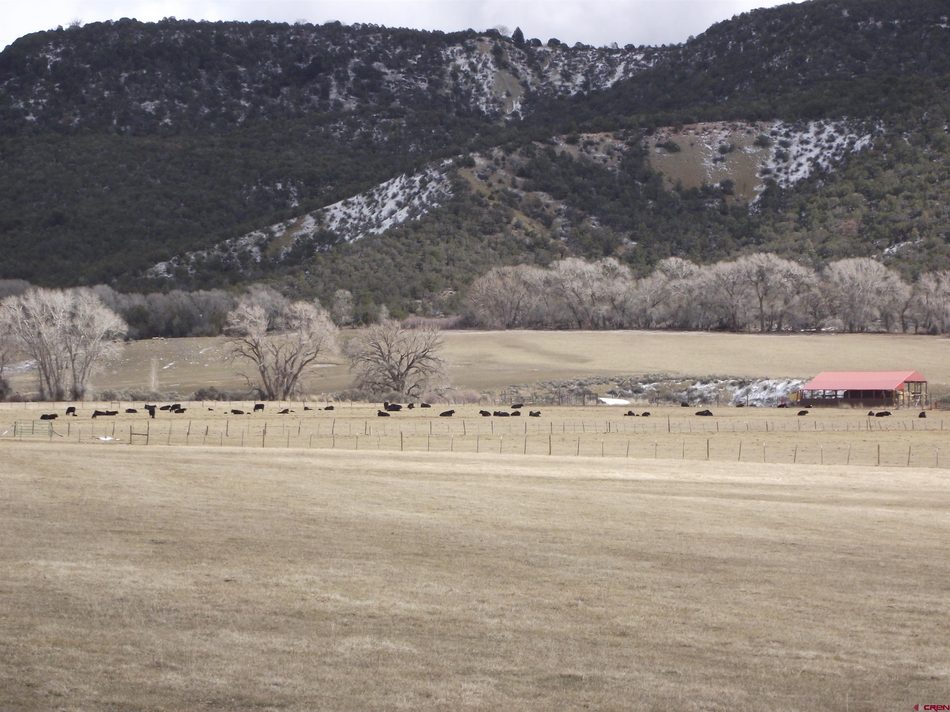 Tbd Rimrock Road Cedaredge, CO 81413 - Photo 2 of 5 a view of a town with mountains in the background
