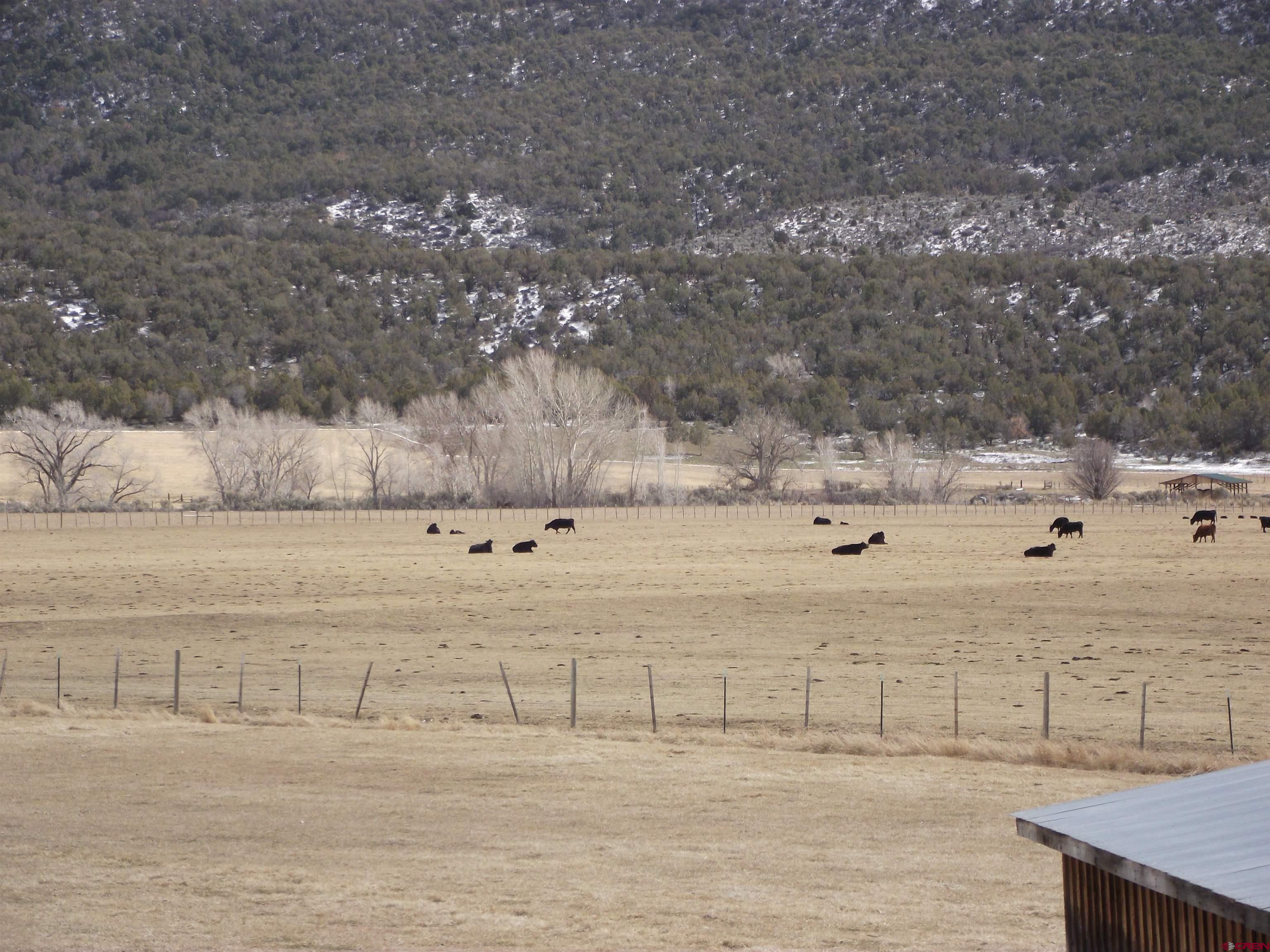 Tbd Rimrock Road Cedaredge, CO 81413 - Photo 4 of 5 a view of a lake view