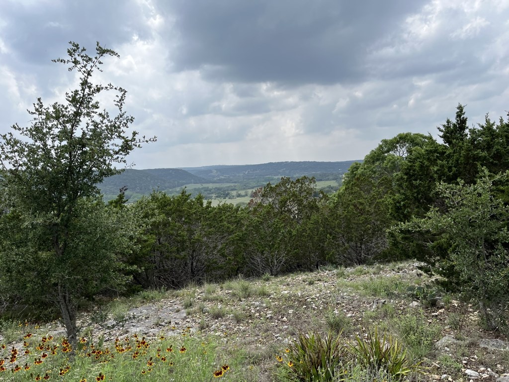 129 Upper Turtle Creek Road Kerrville, TX 78028 - Photo 2 of 40
