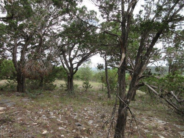129 Upper Turtle Creek Road Kerrville, TX 78028 - Photo 7 of 40