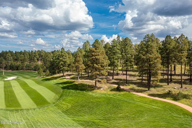 a view of yard with swimming pool and trees in the background