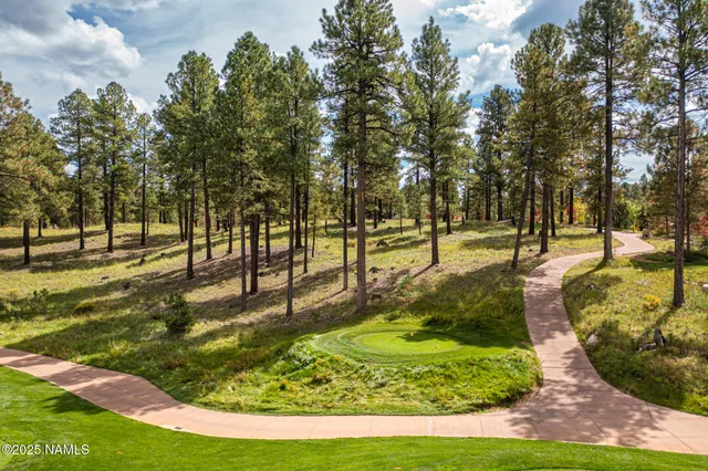 a view of a yard with tree s