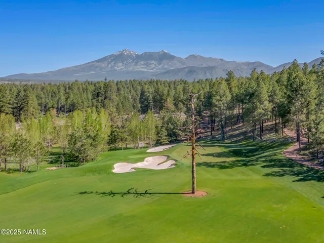 a view of a mountain with a ground