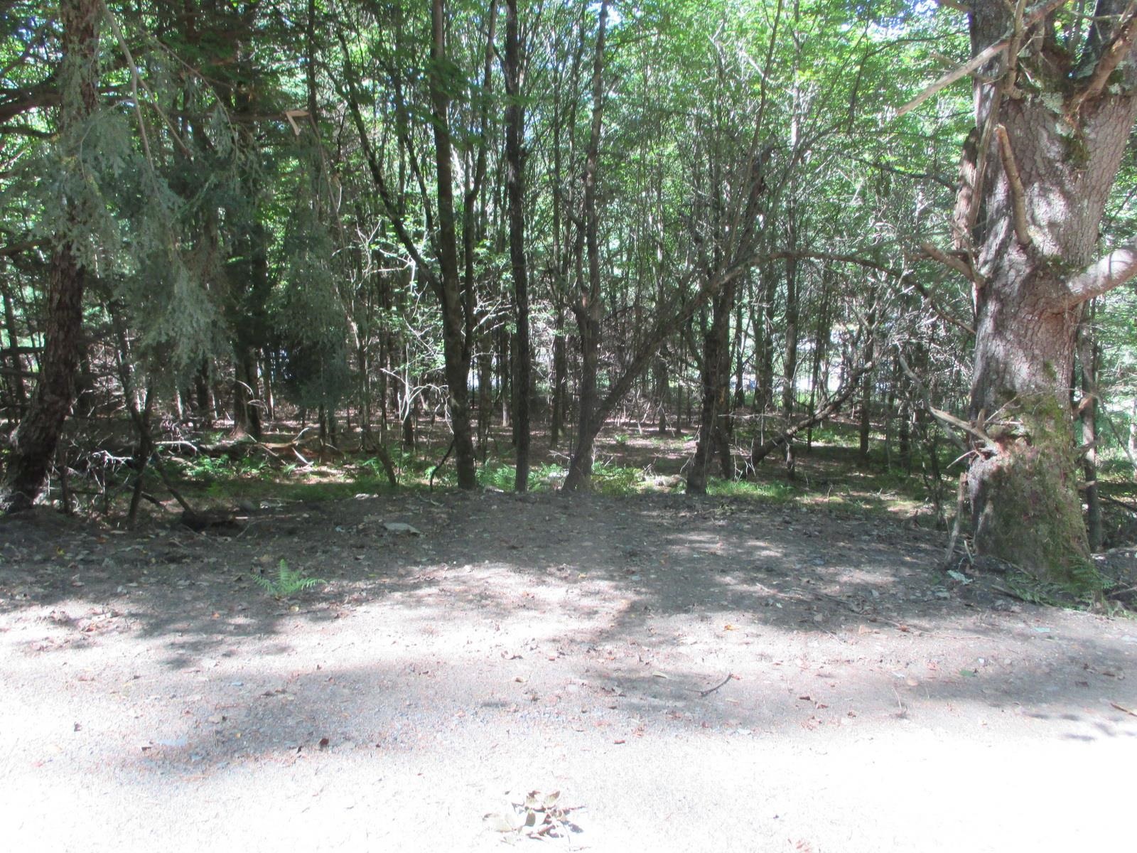 Lot 77 Pine Spur Road Lyman, NH 03585 - Photo 1 of 14