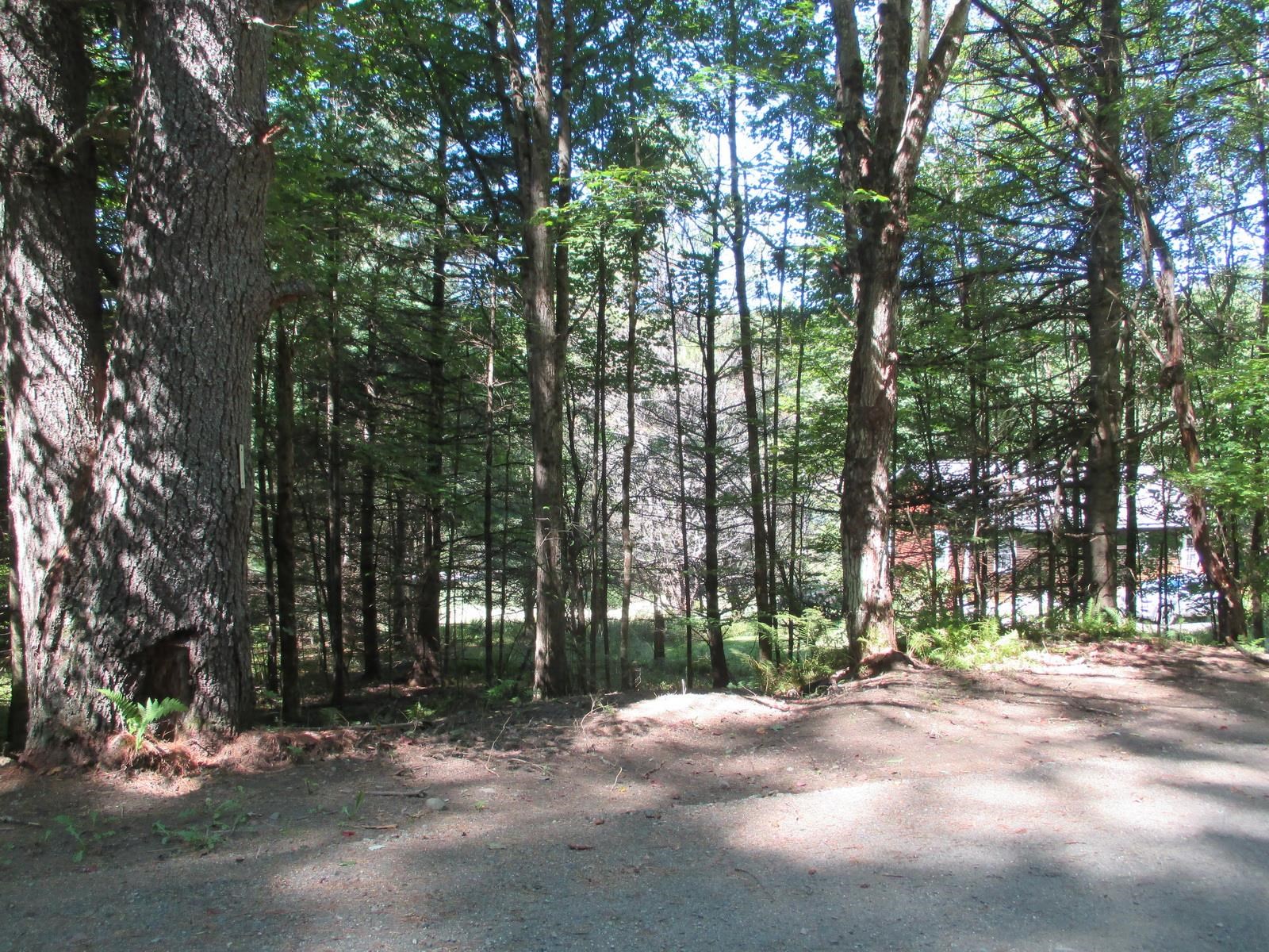 Lot 77 Pine Spur Road Lyman, NH 03585 - Photo 11 of 14