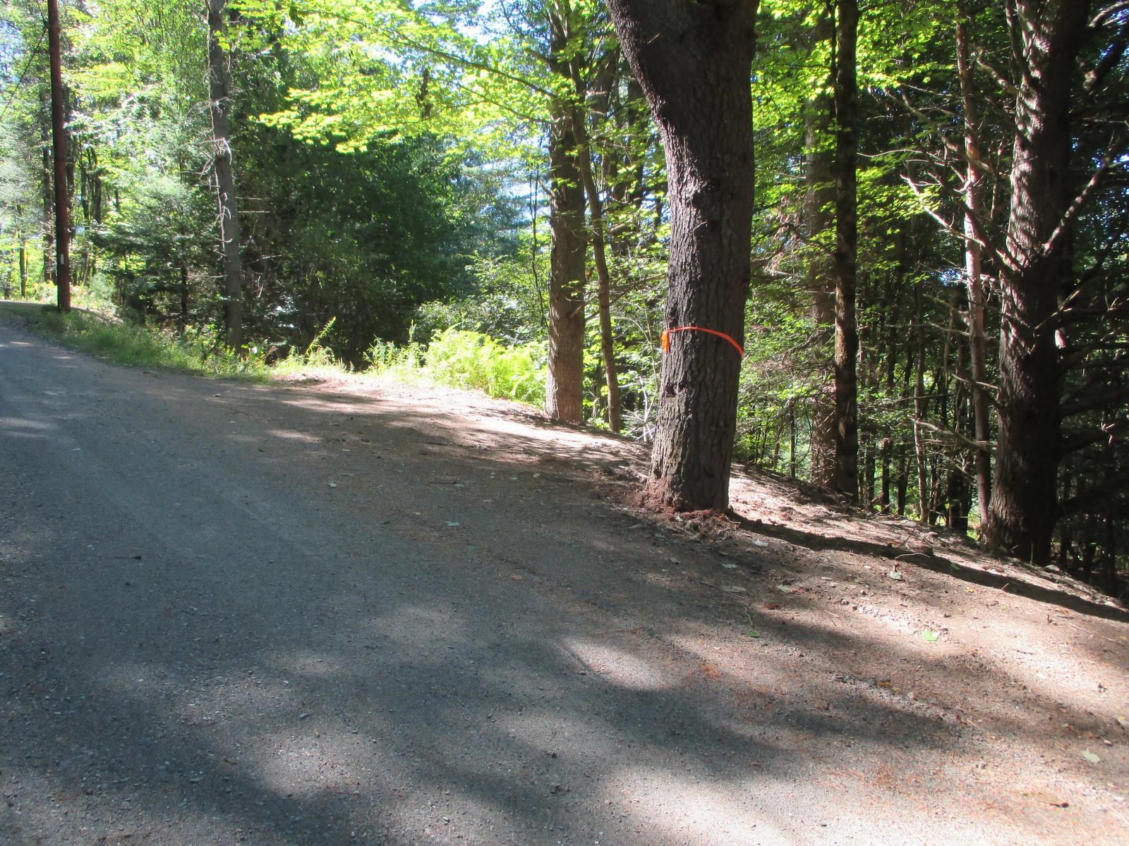 Lot 77 Pine Spur Road Lyman, NH 03585 - Photo 12 of 14