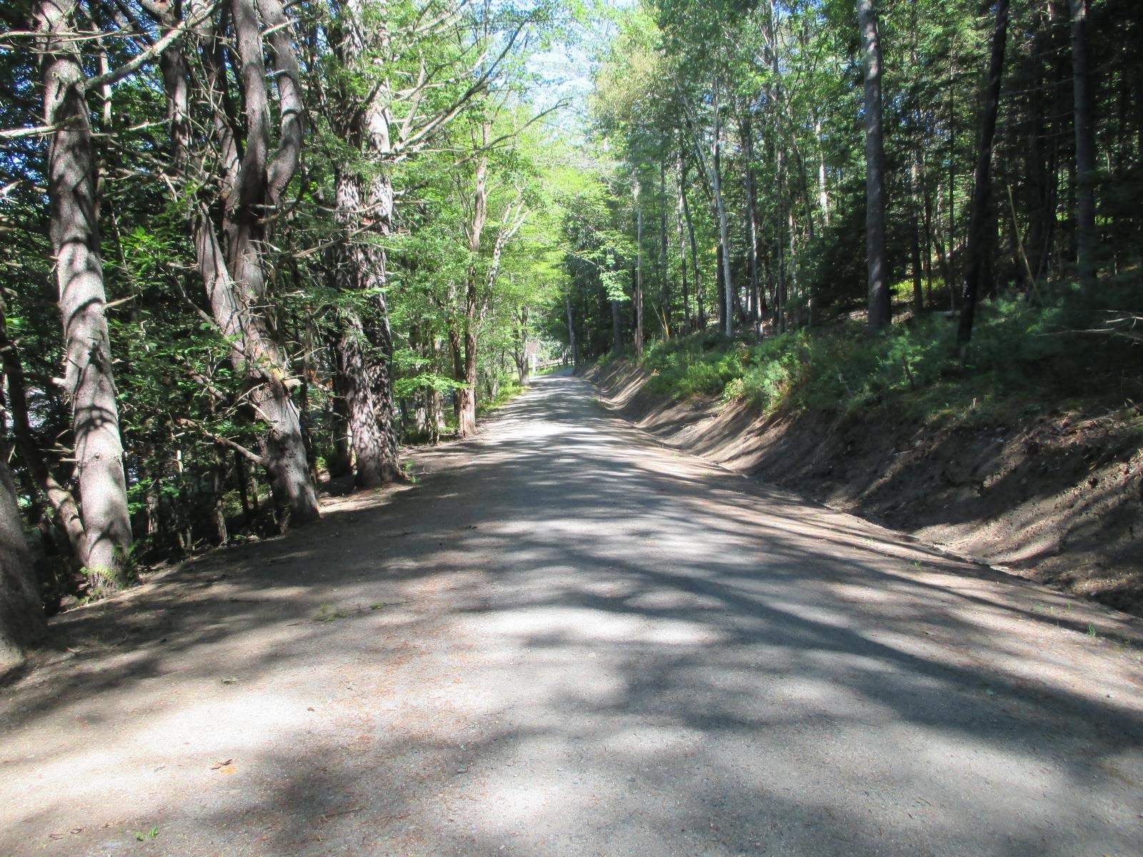 Lot 77 Pine Spur Road Lyman, NH 03585 - Photo 13 of 14
