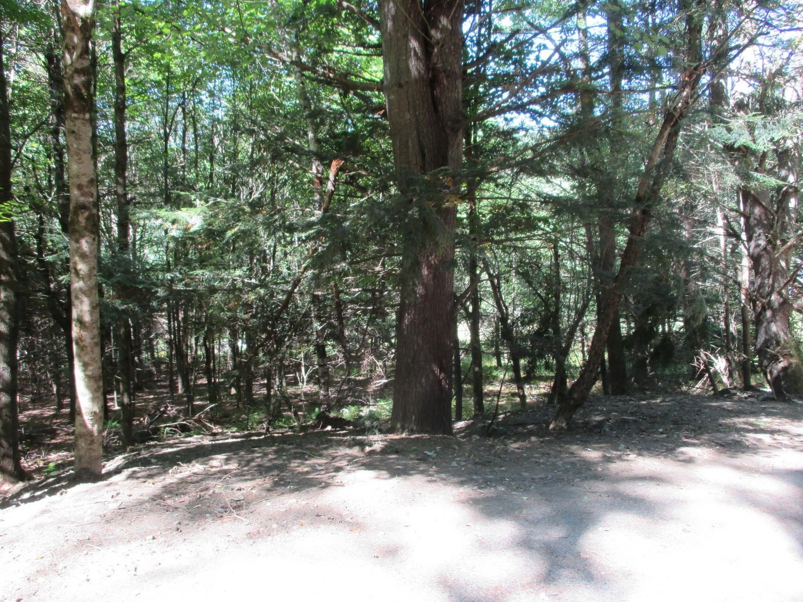 Lot 77 Pine Spur Road Lyman, NH 03585 - Photo 2 of 14