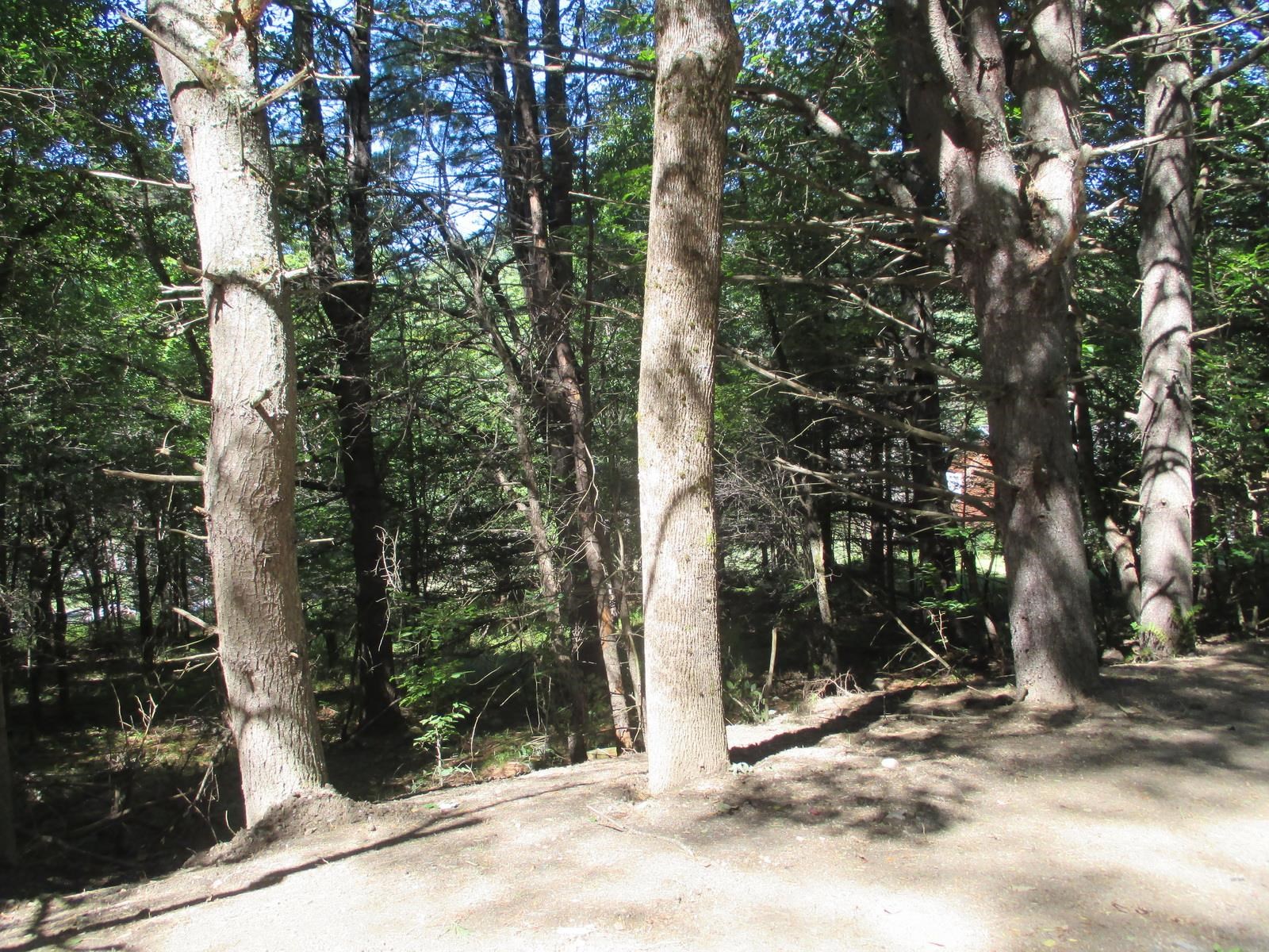Lot 77 Pine Spur Road Lyman, NH 03585 - Photo 4 of 14