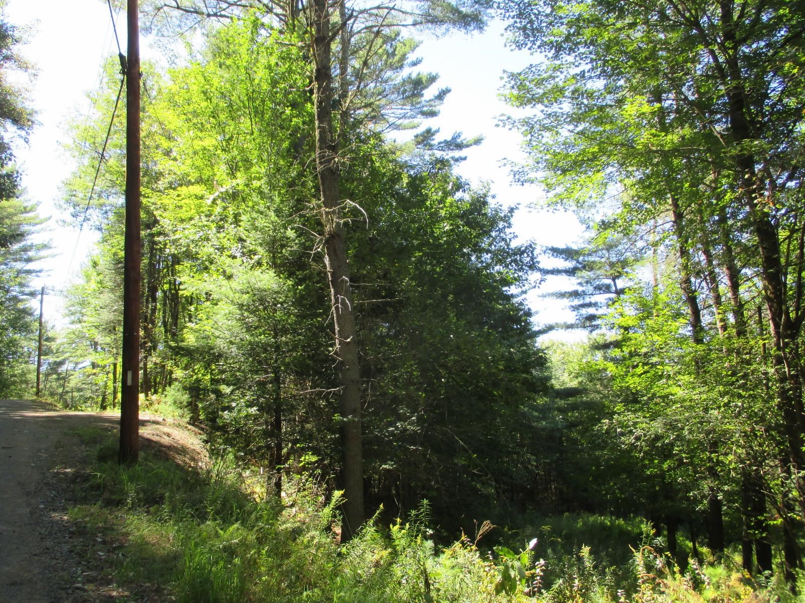 Lot 77 Pine Spur Road Lyman, NH 03585 - Photo 9 of 14