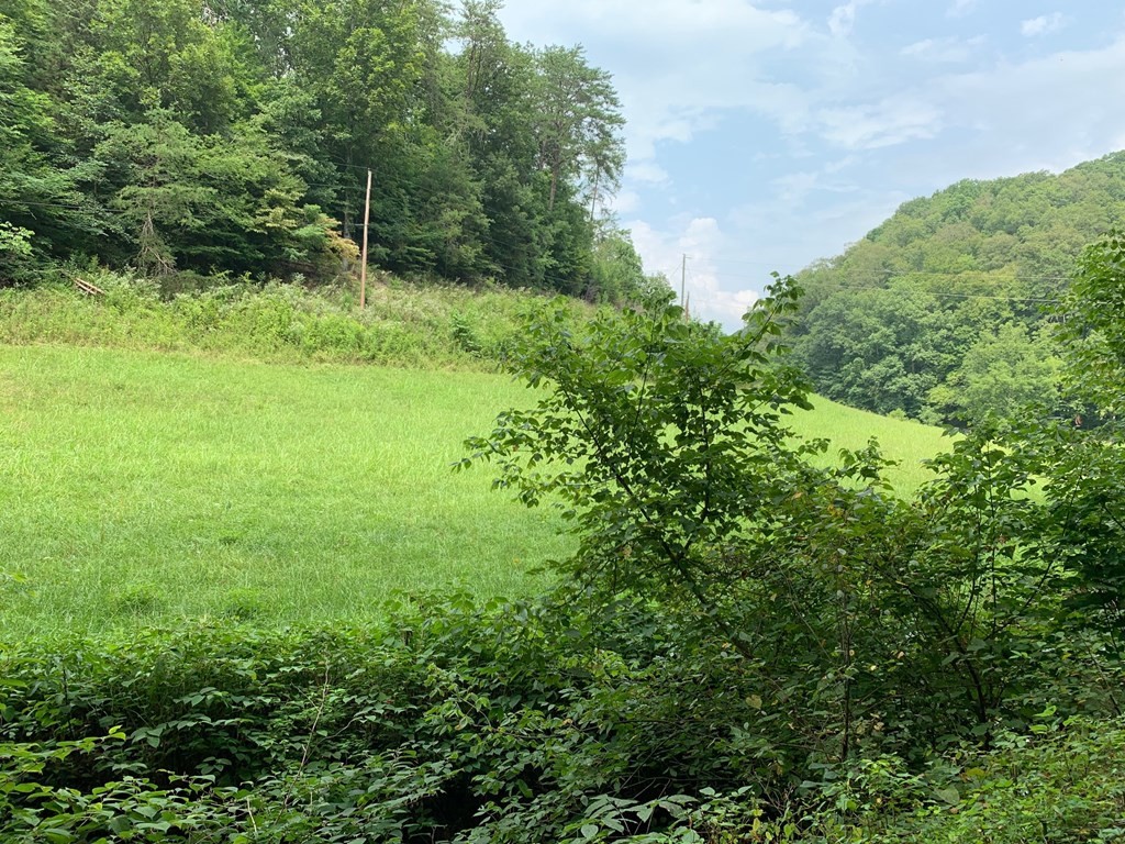 0 Long Branch Road Seymour, TN 37865 - Photo 2 of 5