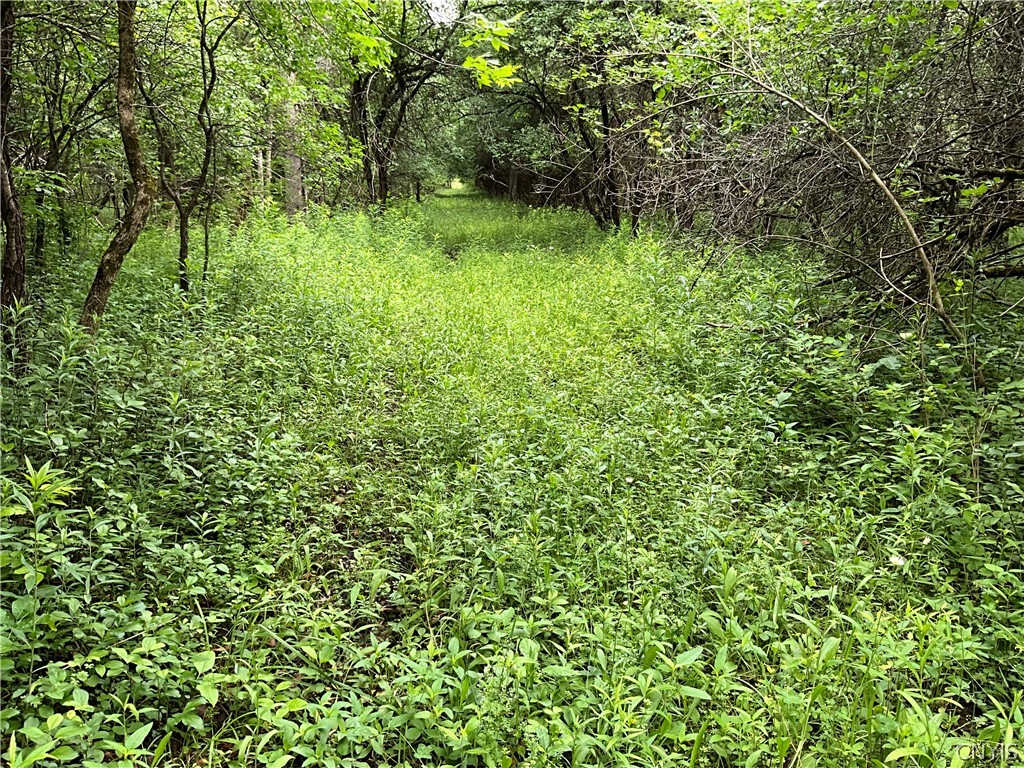 0 County Rte 35 Canton, NY 13617 - Photo 7 of 33