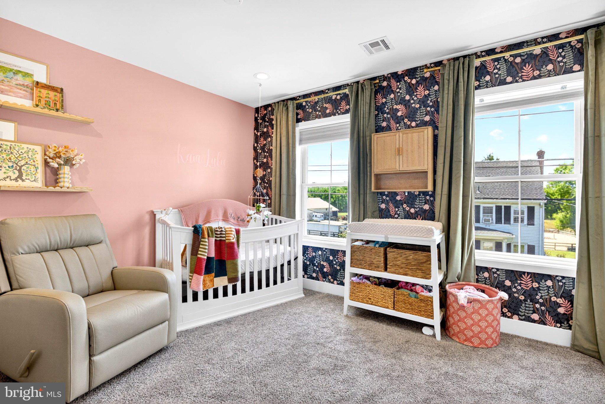 25015 Mt Pleasant Road Columbus, NJ 08022 - Photo 7 of 59 Charming nursery with floral accents.