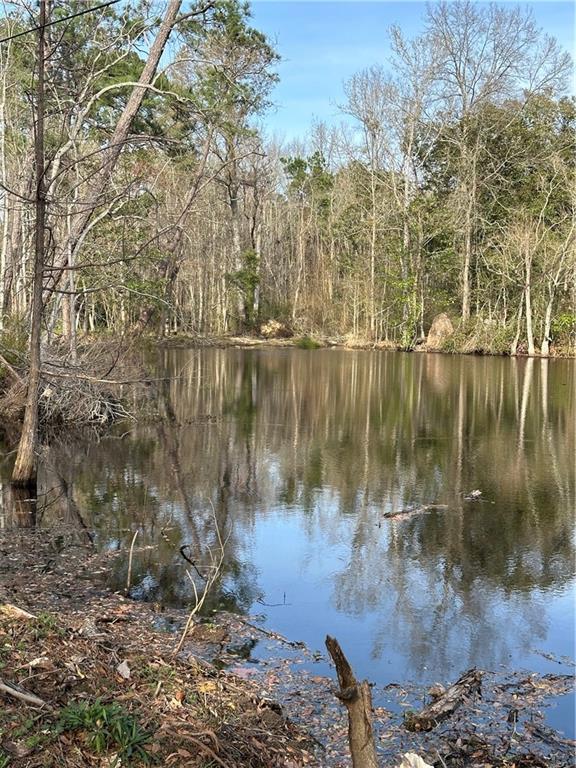 12075 East Adams Road Hammond, LA 70403 - Photo 12 of 40