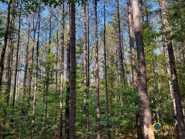 $1,369,750 | 0 Parker Street, Bolivar, TN 38008