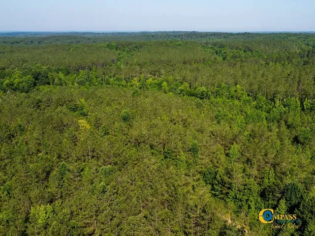 $1,369,750 | 0 Parker Street, Bolivar, TN 38008